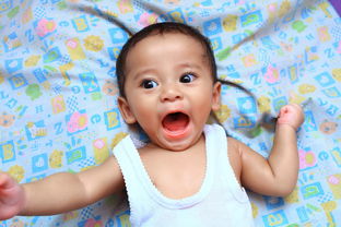 8个月宝宝辅食一天吃几顿合适_